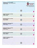 Premium Secure Laser Check Color Guide