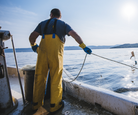 Gentleman sitting hunched over at a desk angrily tying at an old computer.